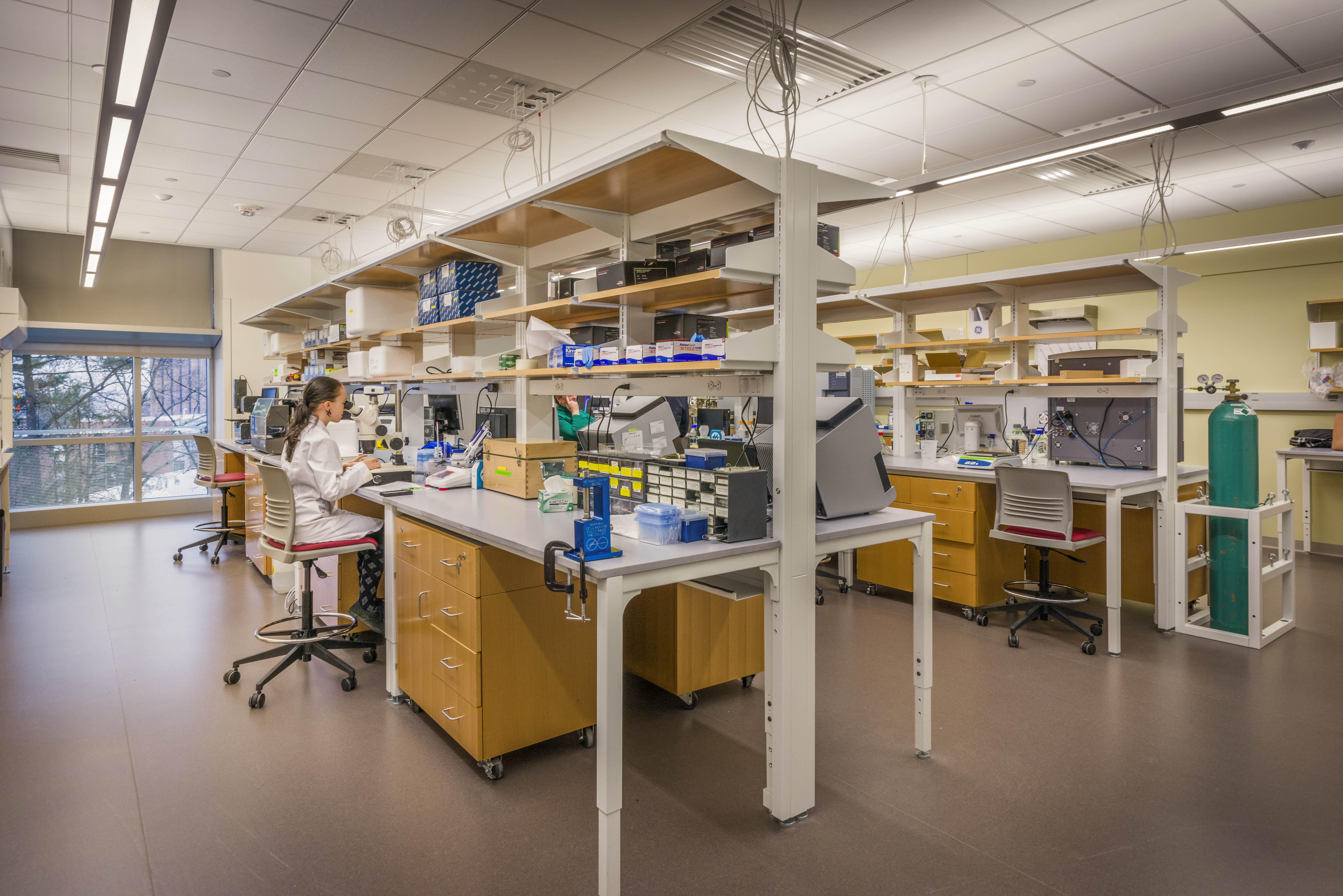 scientists working in a lab