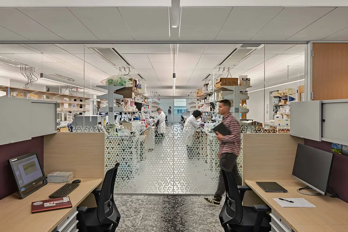 umass chan NERB research lab and writeup space