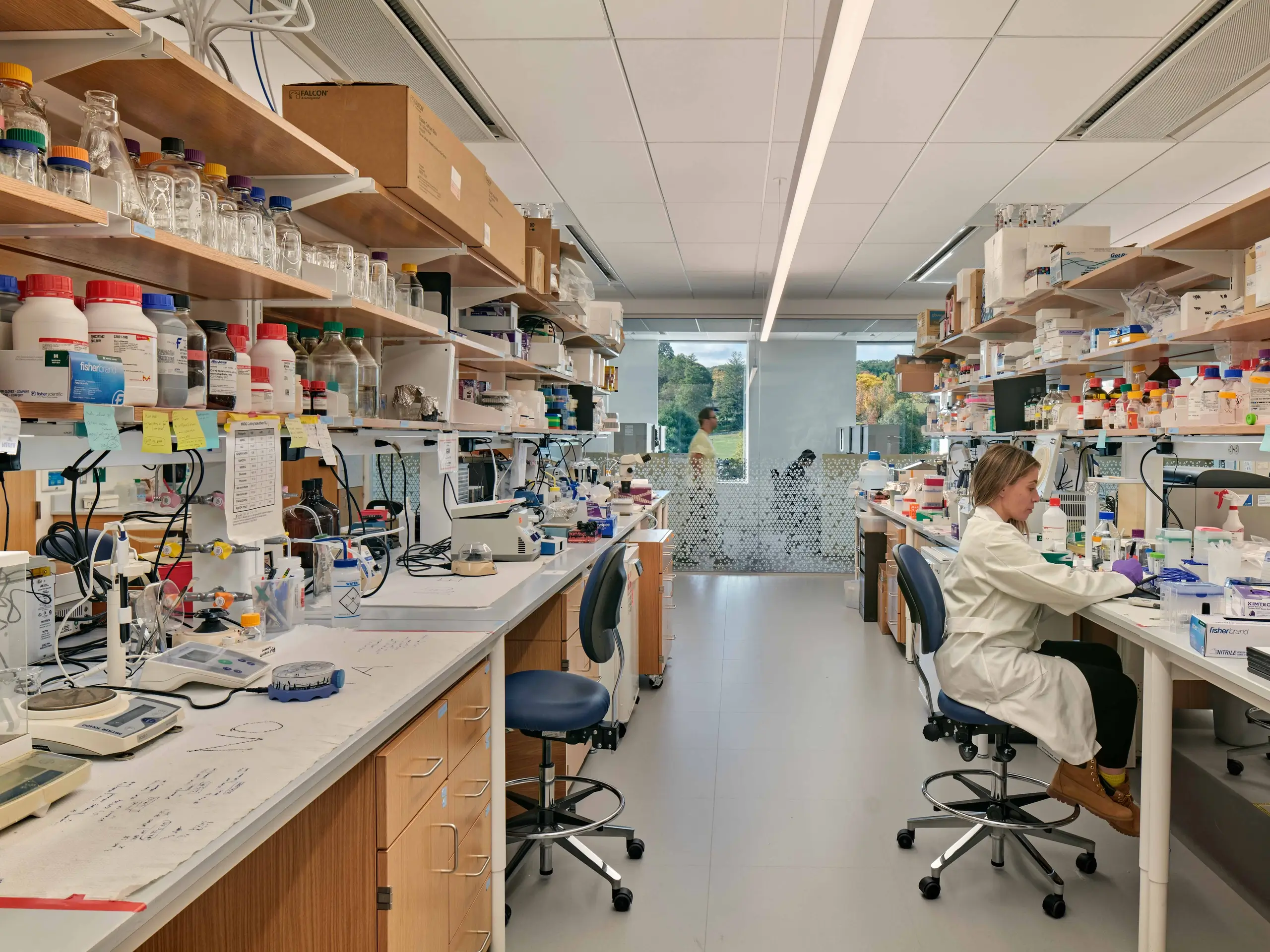 umass chan NERB research lab space